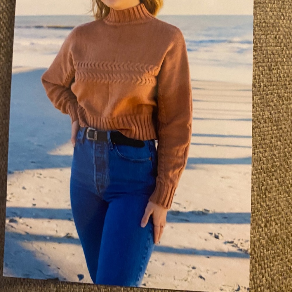 petal and pup cropped brown turtleneck sweater